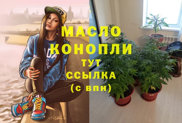твердый Верхний Тагил