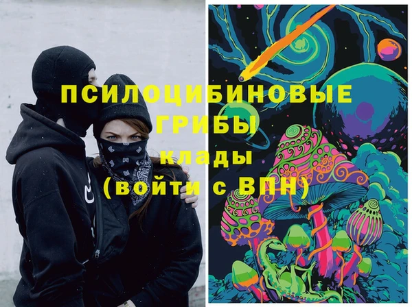 твердый Верхний Тагил