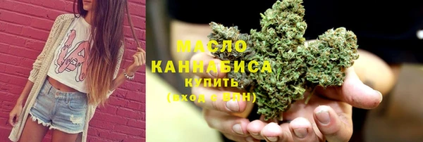 твердый Верхний Тагил